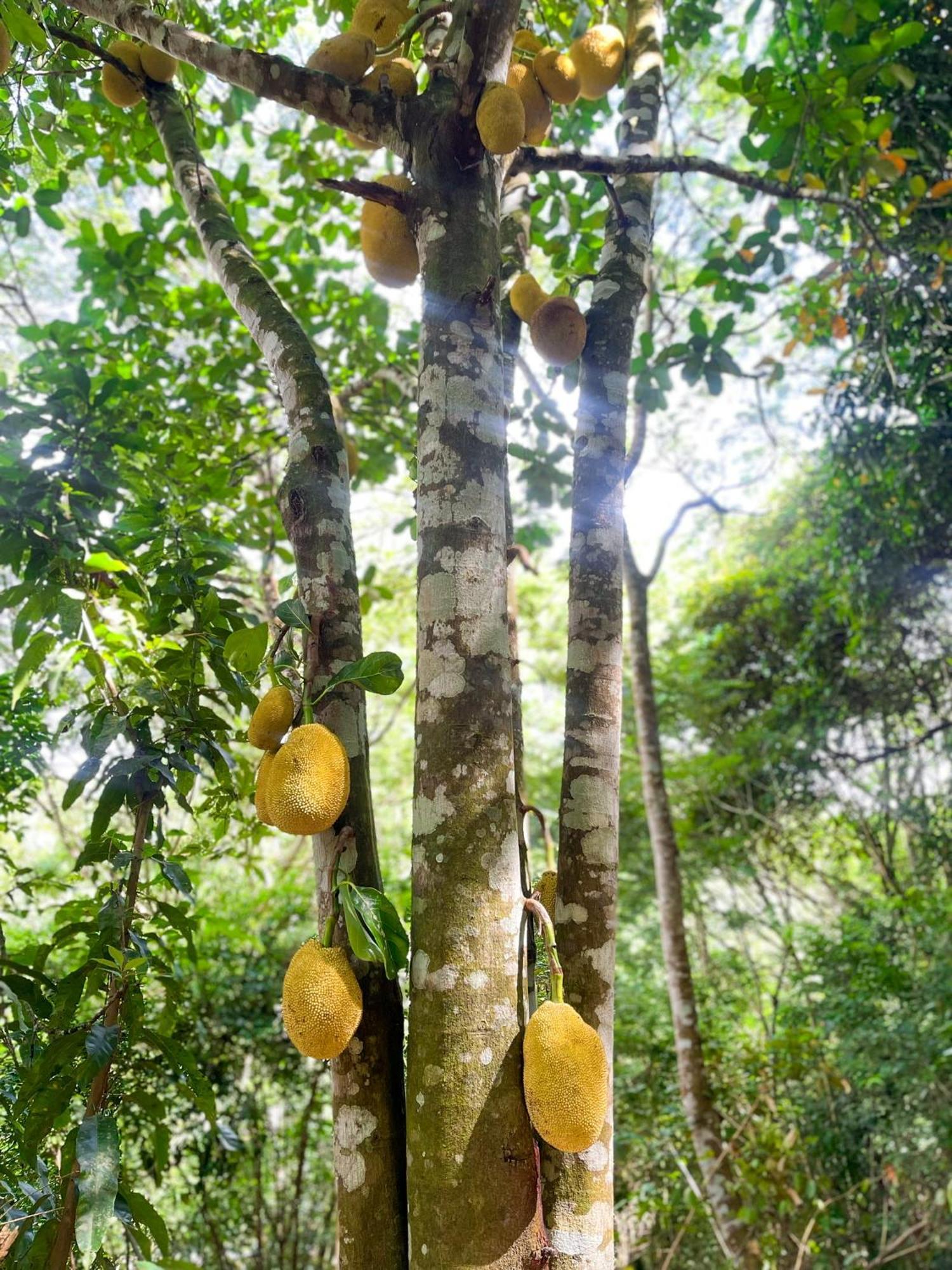 Olho D'Agua Pousada กวารามีรันกา ภายนอก รูปภาพ